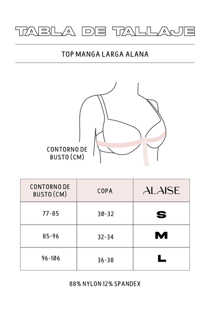 Top Alana Manga Larga Gris